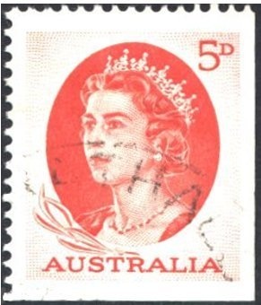 Green Sea Turtle (Chelonia mydas)