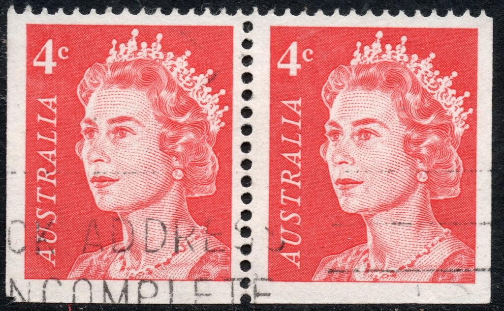 White-spotted Hermit Crab (Dardanus megistos)