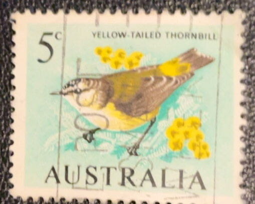 Yellow-tailed Thornbill (Acanthiza chrysorrhoa)  stamp collectible - Main Image 2