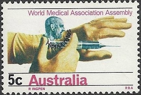 Silver Snow Daisy (Celmisia tomentella)