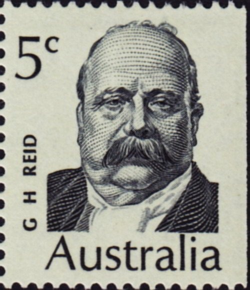 Green Sea Turtle (Chelonia mydas)