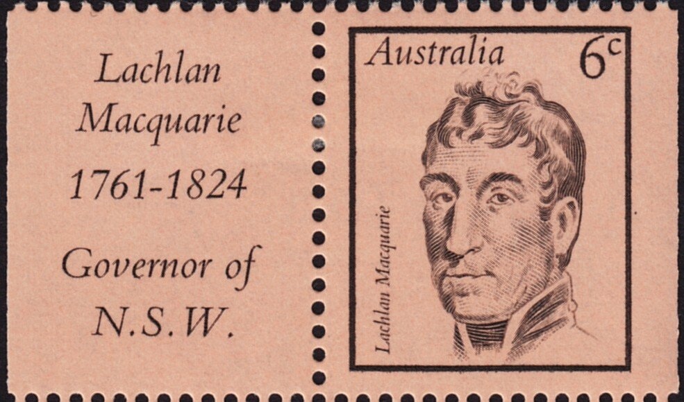 Green Sea Turtle (Chelonia mydas)