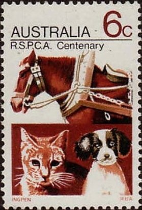 Tasmanian Blue Gum (Eucalyptus globulus), Tasmania