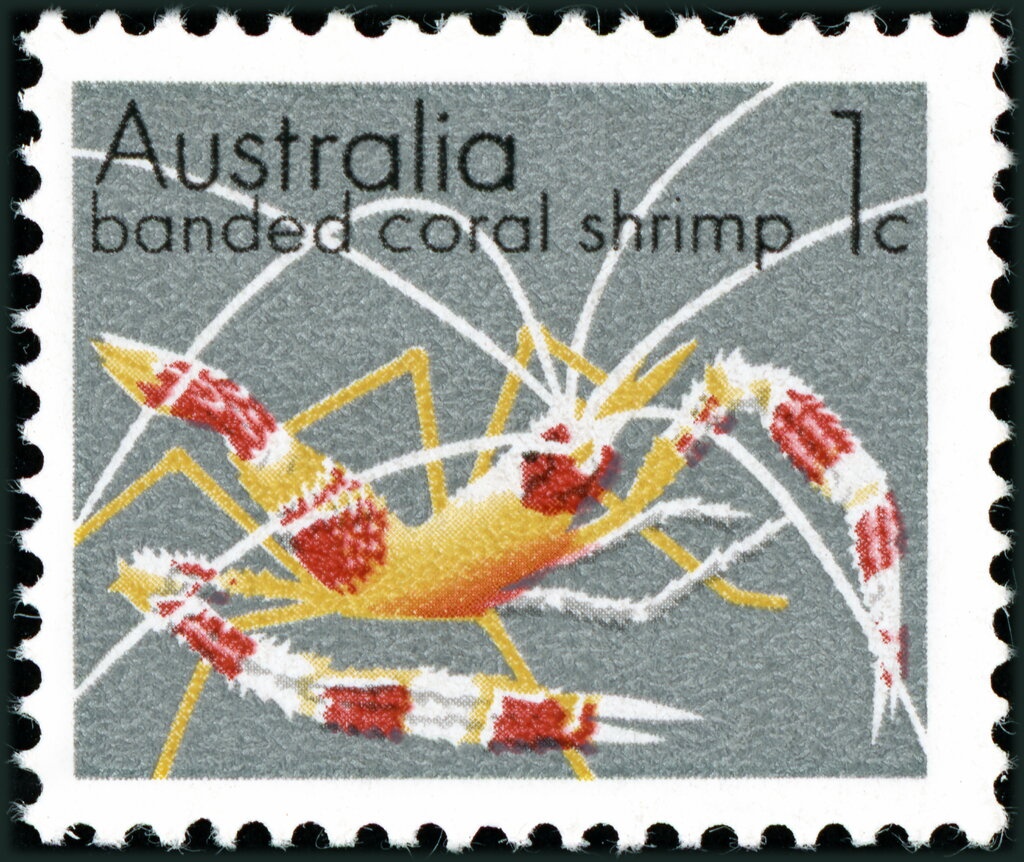 “Tomorrow” (Silverchair), 1994