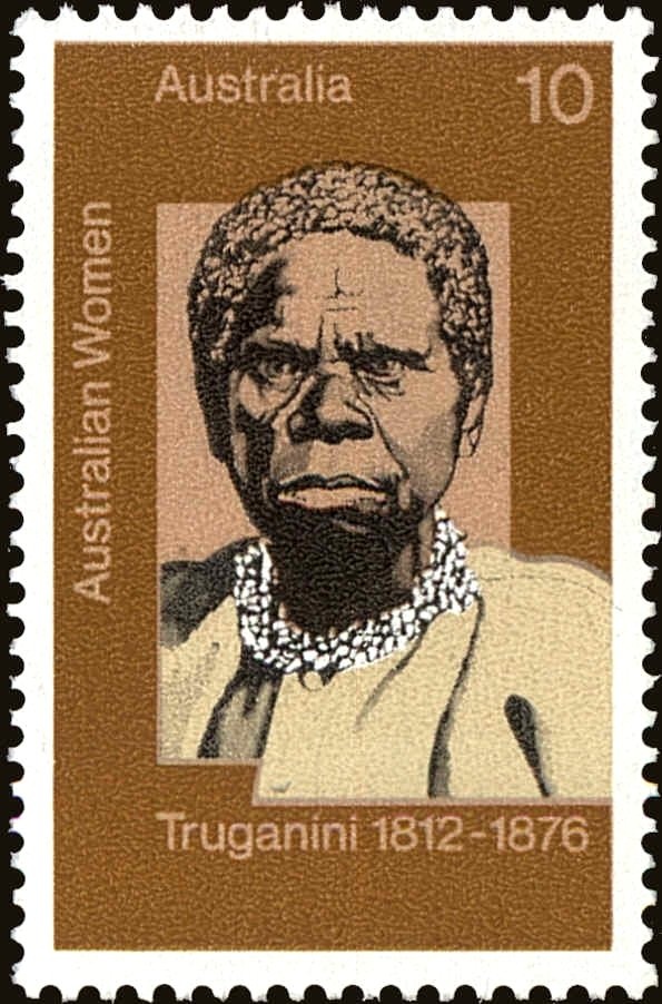 Common Bottlenose Dolphin (Tursiops truncatus)