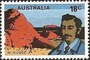 Merino Sheep (Ovis aries)