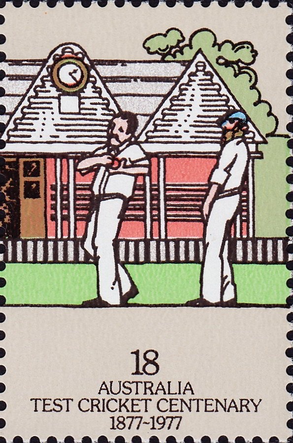 Blue Tiger (Danaus hamata)