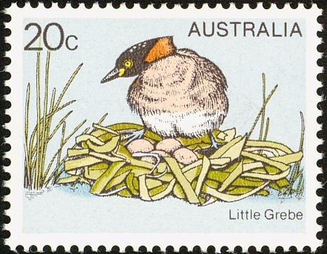 50th Anniversary of UN