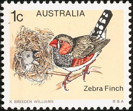 Prince Charles and Lady Diana Spencer