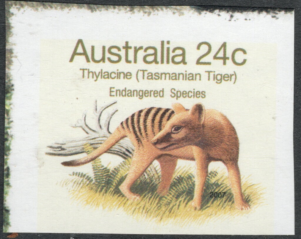 Green Sea Turtle (Chelonia mydas)