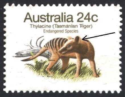 Don Bradman Portrait