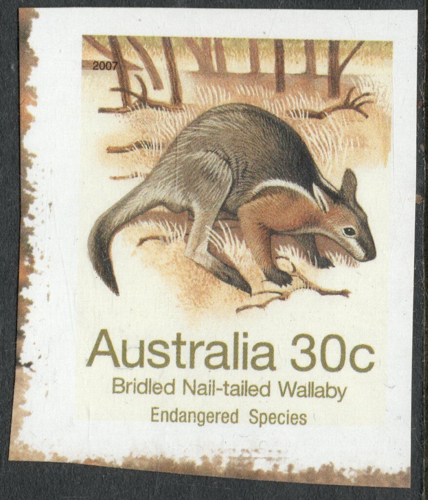 Coming South by Tom Roberts (cream paper)