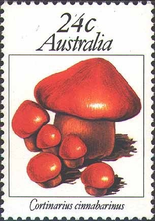 Chlorinda Hairstreak (Pseudalmenus chlorinda)