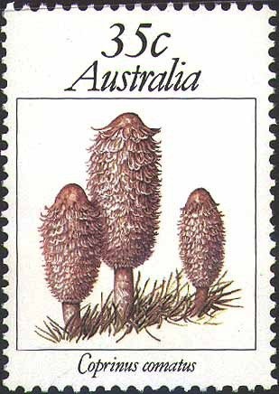 Sturt's Desert Rose 2c coil stamp type II