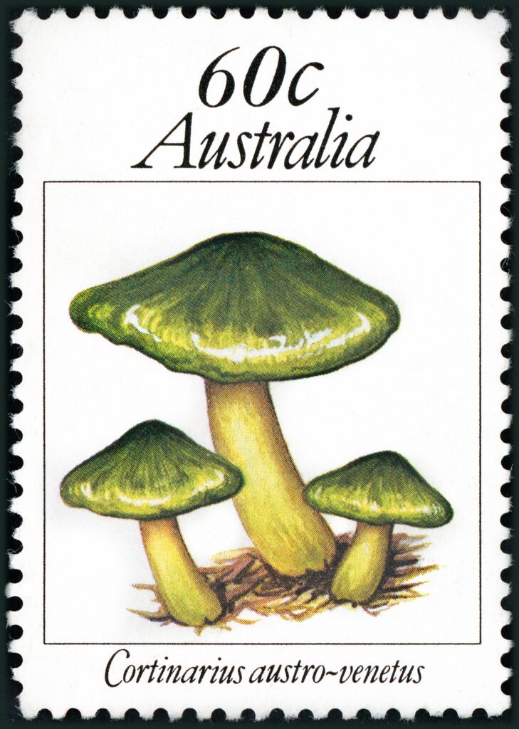 Plate & Clock, Doll & Chair