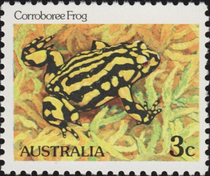 King Charles III - Birthday 2024