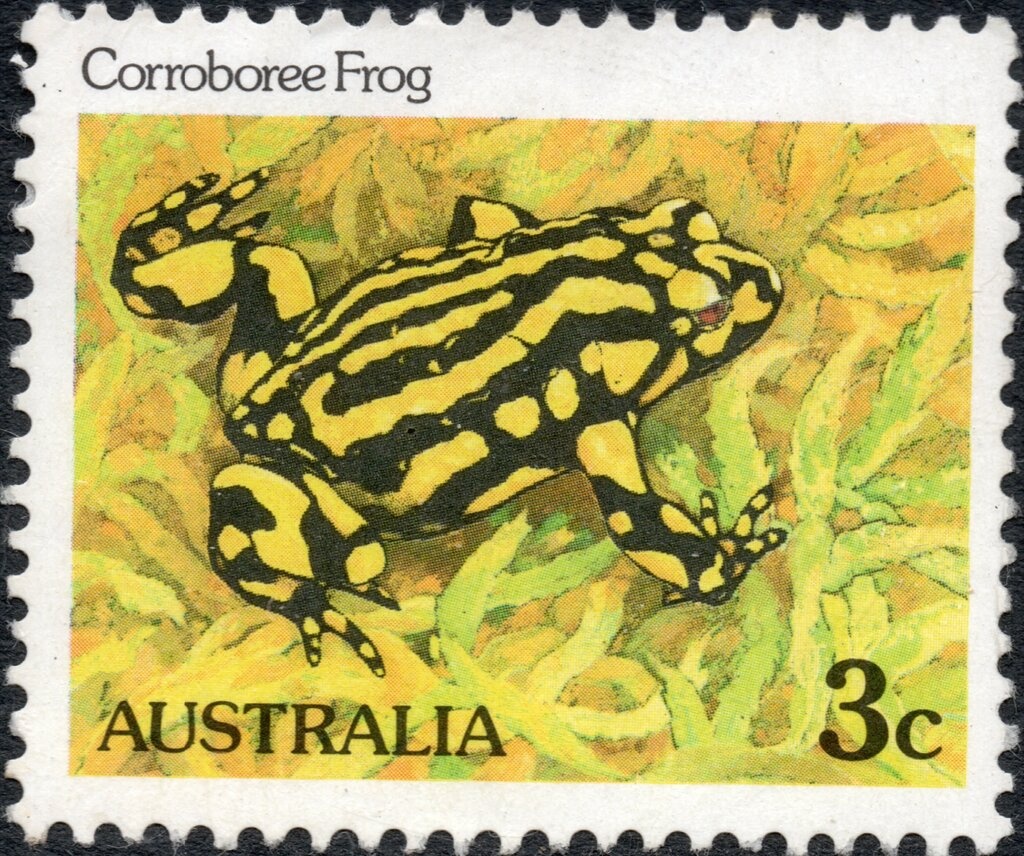 Thorny Devil (Moloch horridus)