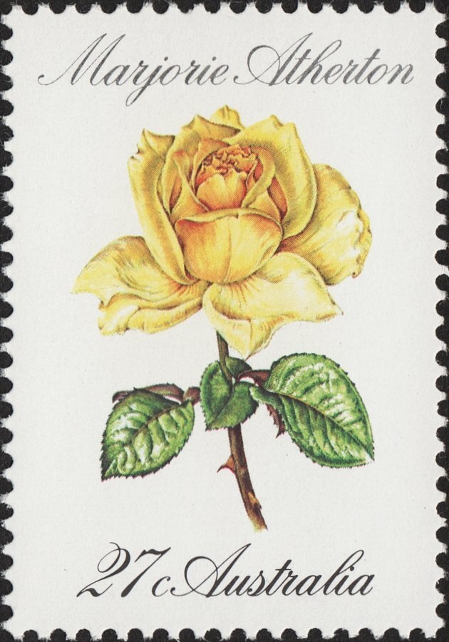 World Y.W.C.A. Council