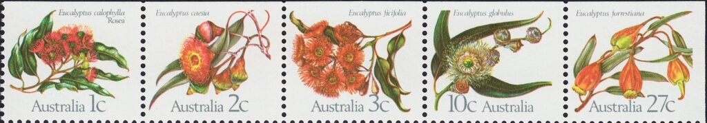 Painted Firetail (Emblema picta)