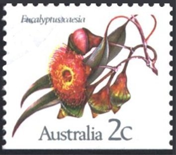 Warrant Officer Len Waters (1924-1993) and RAAF Wings