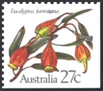 Deep Sea Fishing. Blue Marlin (Makaira nigricans)