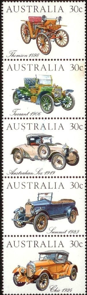 Ascension Frigatebird (Fregata aquila)