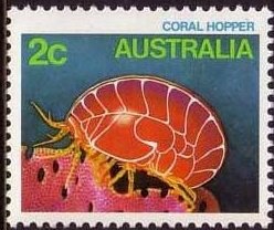 Kingford Smith's World Flights.