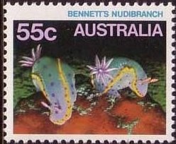 Departure of the First Fleet