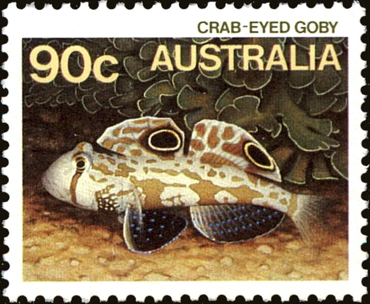 Angling in Australia