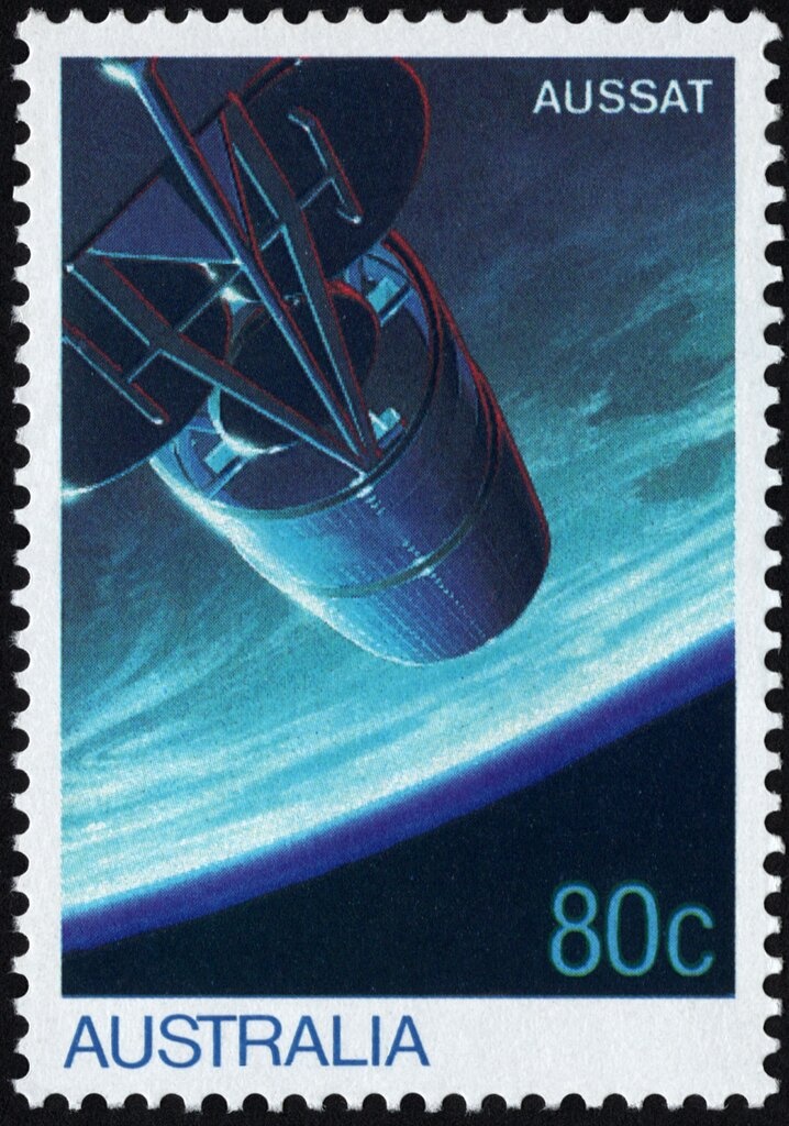 Koala (Phascolarctos cinereus)