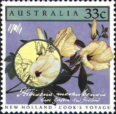 Dame Enid Lyons & Senator Dorothy Tangney