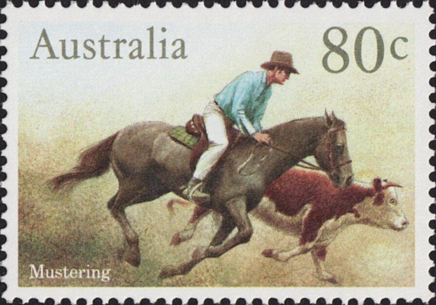 Turtle Research and Conservation