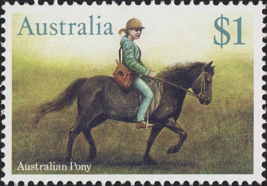 Eastern Water Dragon (Physignathus lesueurii) - perf: 12¾