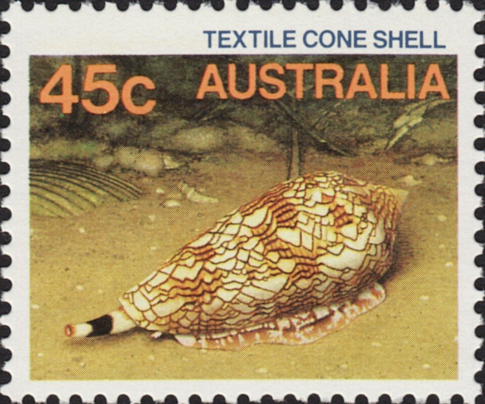 Queensland Hairy-nosed Wombat (Lasiorhinus krefftii)