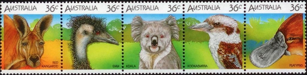 Caesia (Eucalyptus caesia) - I(T)