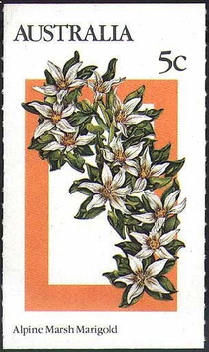 Angel with Christmas Bauble