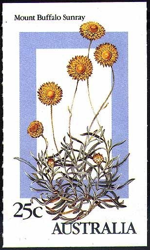 Prince George opening the First Parliament, Tom Roberts