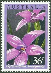 Marco Polo (Full-rigged Ship), T. Robertson