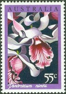 Feather-tailed Glider (Acrobates pygmaeus)