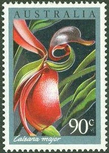 Table Cape, Tasmania