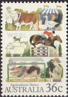 Snowy Mountains Scheme