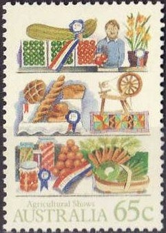 Wattle (Acacia pycnantha)