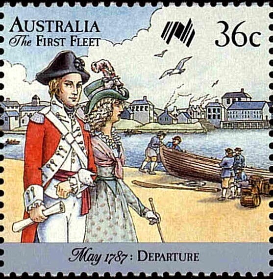 Possum on Christmas Tree