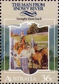 Wideawake Tern (Onychoprion fuscatus)