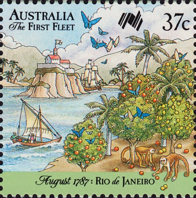 Fireworks and Hologram