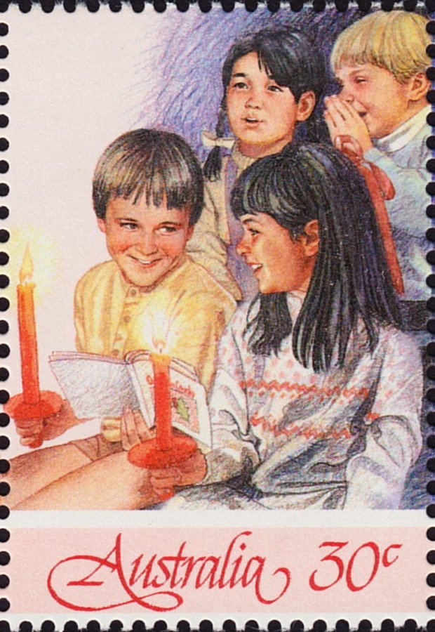 Koala (Phascolarctos cinereus)