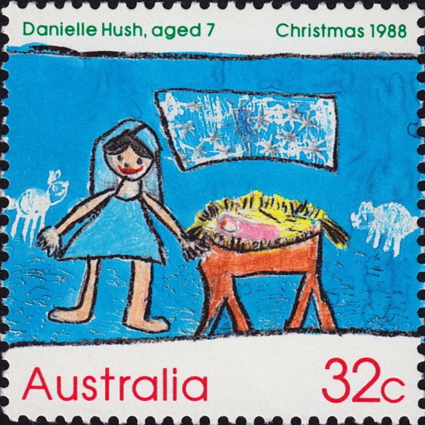 Ascension Frigatebird (Fregata aquila)