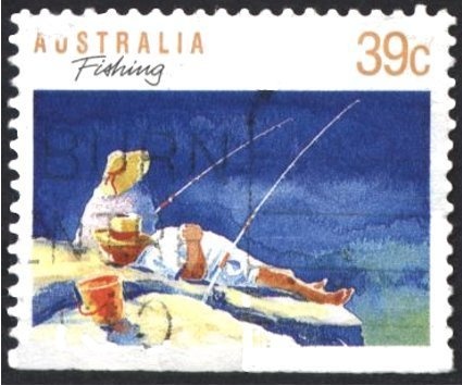 Brahminy Kite (Haliastur indus), Checkerboard Helmet