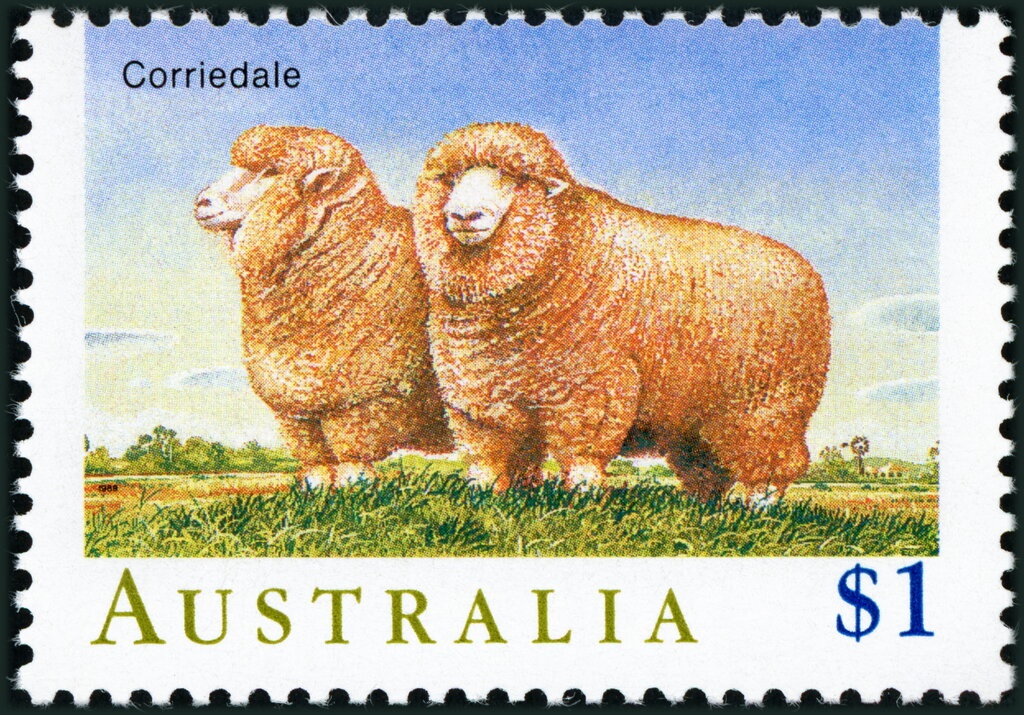 Australian Grand Prix, Phillip Island, 1928