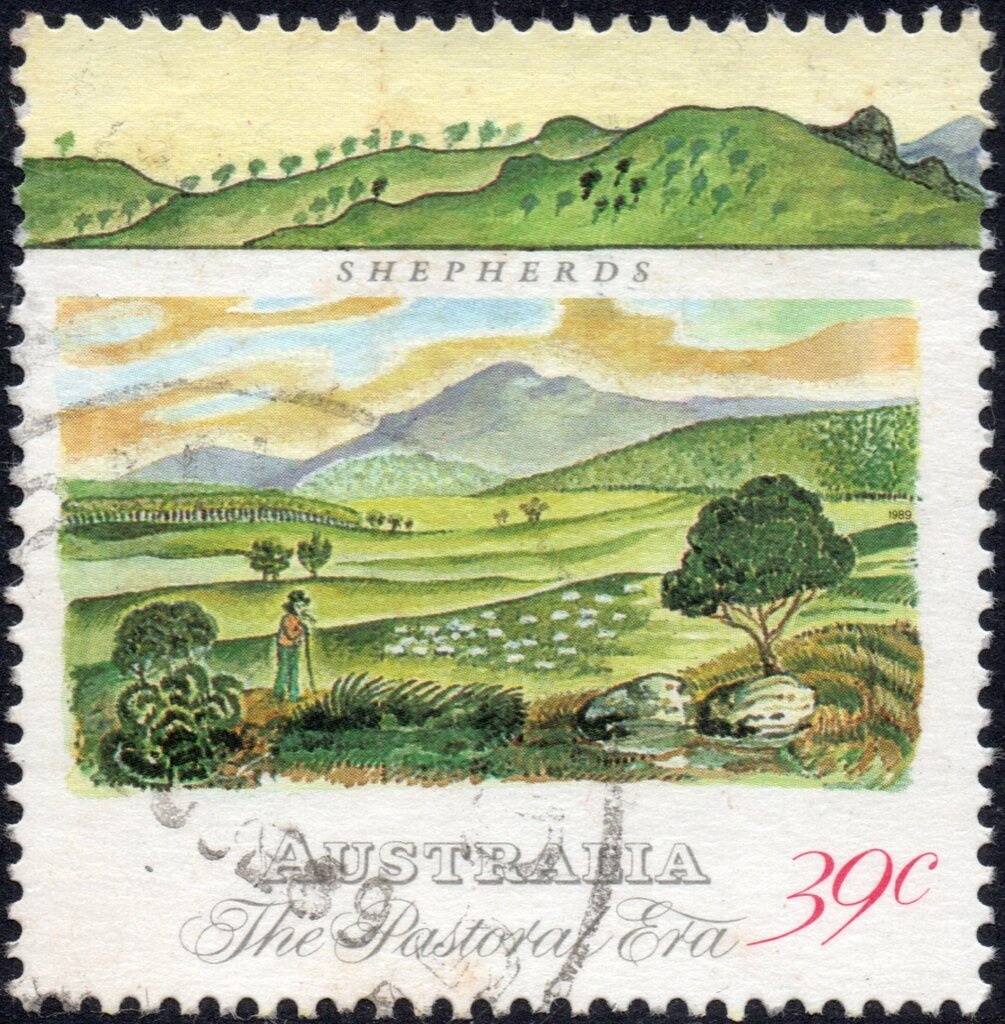 Red-footed Booby (Sula sula)